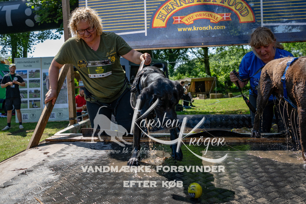 1313_ZZ90861 | kk-dogfotos