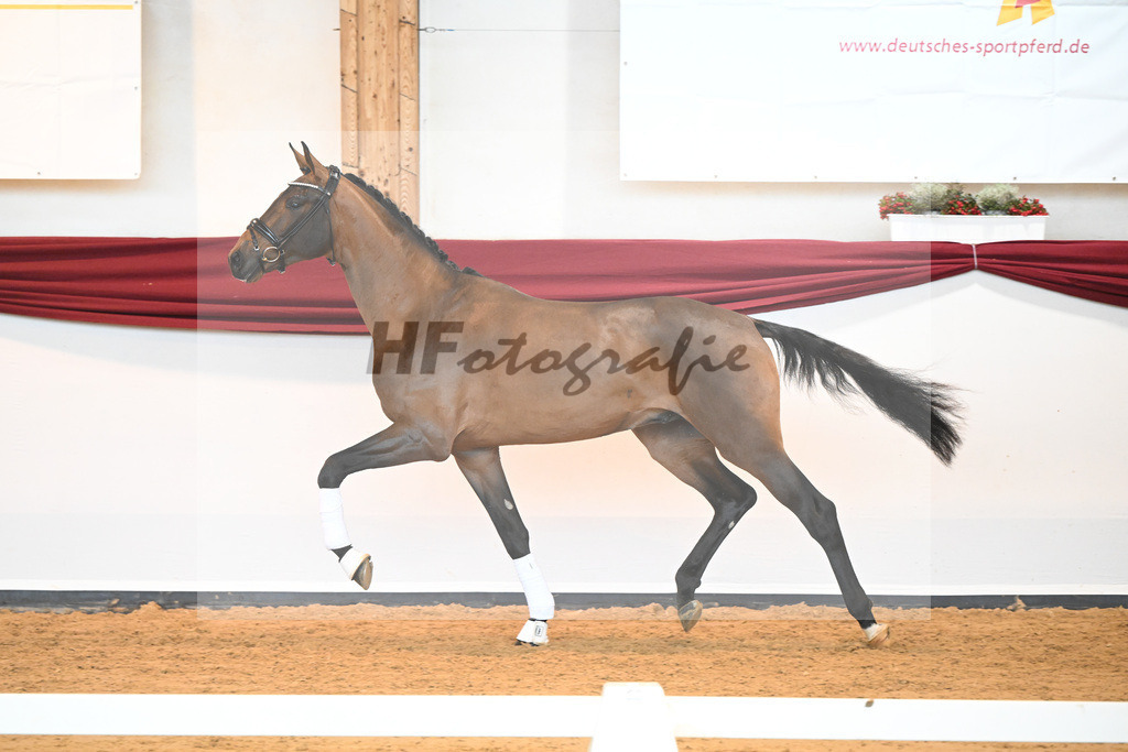 Kat-Nr. 10 v. Bonds_Klenk u Schneider-Gaertner_66221727 | hf-fotografie - Realisiert mit Pictrs.com