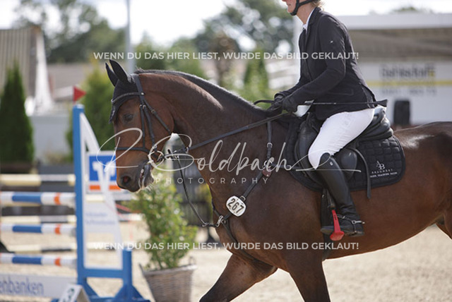 1J2A4728Britta Braunert_ Congettano Blue PS_ Kn267_ Havekost | Foto- und Videografie für alles rund ums Pferd. Hochwertige Bilder und Videos vom Spring- und Dressurreiten, Voltigieren & mehr. Jetzt aktuelle Veranstaltungen und Preise im Shop ansehen. - Realisiert mit Pictrs.com