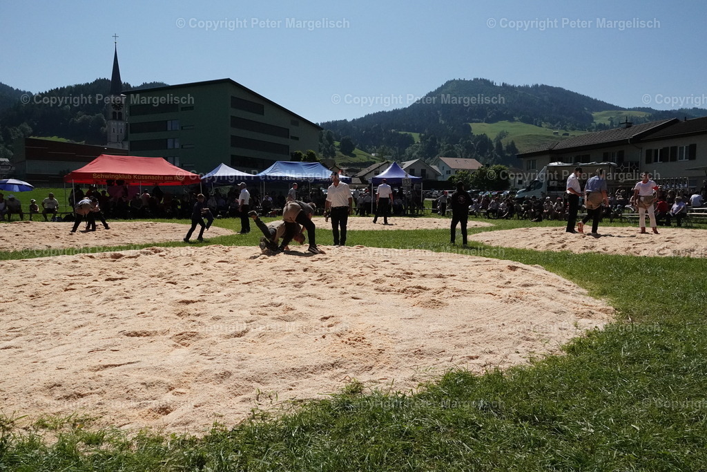 DSC04712 | Schwingen - Realisiert mit Pictrs.com