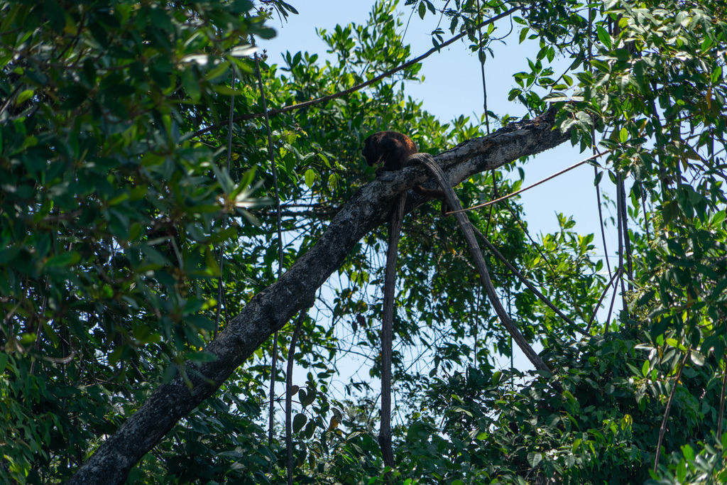 DeltaTour 30.10.25 | paulependelt - Realisiert mit Pictrs.com