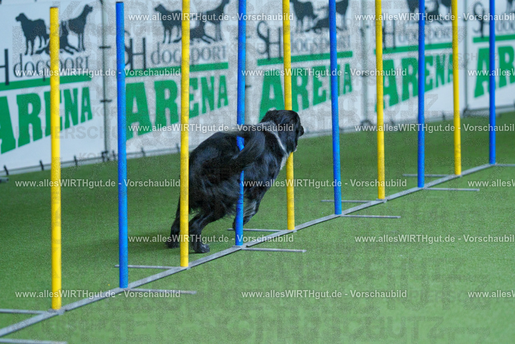 @allesWIRTHgut_Tierfotografie - www.allesWIRTHgut.de - 2604261239-7R501358 | Professionelle Tierfotografie in Mönchengladbach von Daniel Wirth (allesWIRTHgut). Liebevolle & natürliche Bilder von Hunden & Katzen für unvergessliche Erinnerungen.