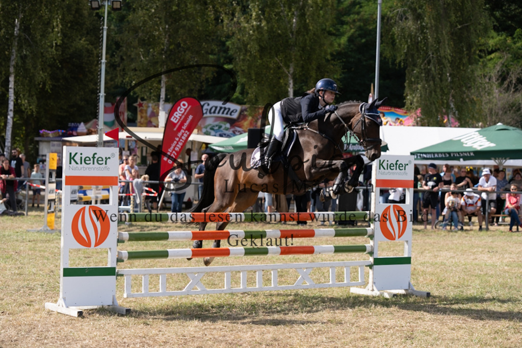 A7V09273 | Pferdefotograf