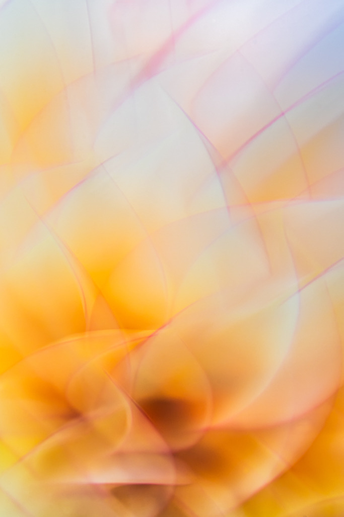 Abstraktes Portrait einer weiß-gelben Anemonen-Dahlie | Best. Nr. d_2020_06_0724. 
Einen Anwendungsvorschlag finden Sie hier: https://shop.soulimages.eu/img/564px3 (dekorative Dreiergruppe an der Wohnzimmerwand). Das Bild ist auch Teil eines Triptychons, Sie finden dieses in der Galerie Nimm drei - Pflanzen abstrakt - Realisiert mit Pictrs.com