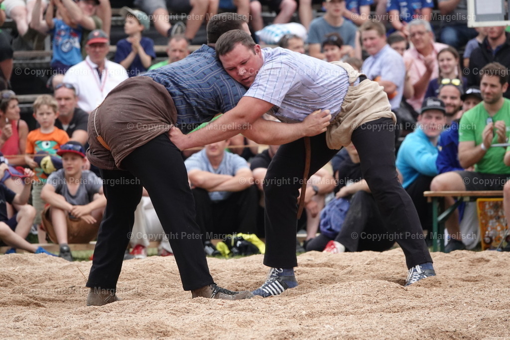 DSC04643 | Schwingen - Realisiert mit Pictrs.com