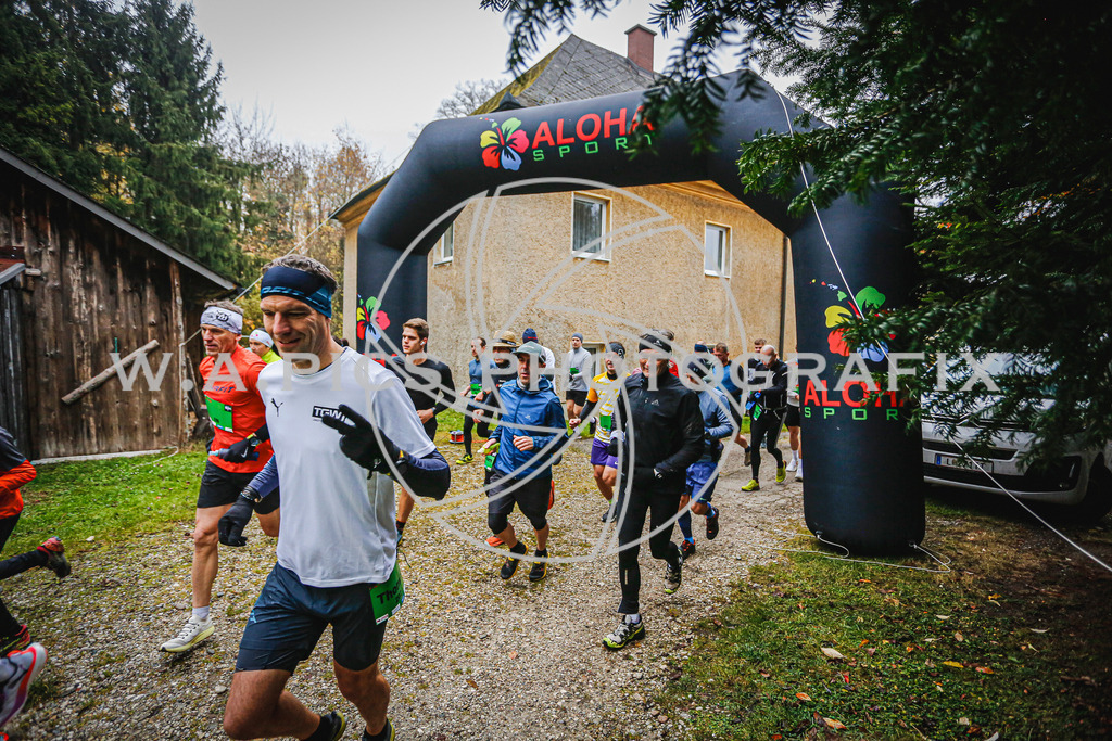 ..... | LEONDING,AUSTRIA,8.November 25, Kürnberglauf 2025  , Image shows: Photo: WAPICS / Andreas Willdoner