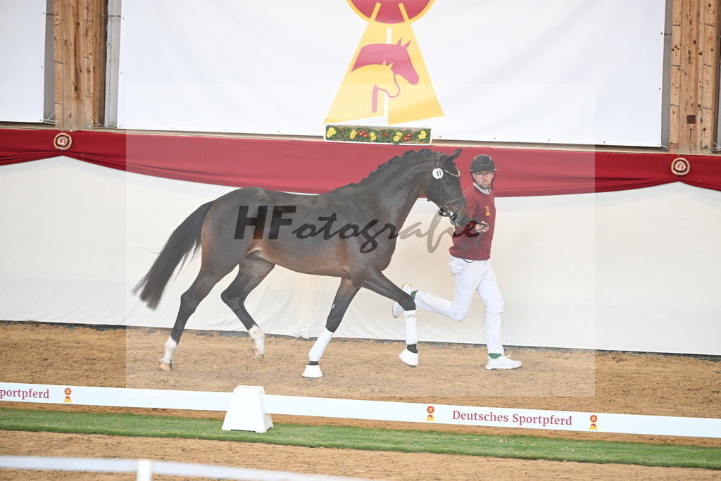 Kat.-Nr. 89 v. Vivaldon_Beckmann_2250844 | hf-fotografie - Realisiert mit Pictrs.com