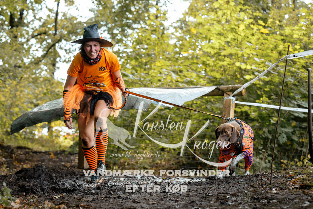 1417DZ6_1536Z6 | kk-dogfotos