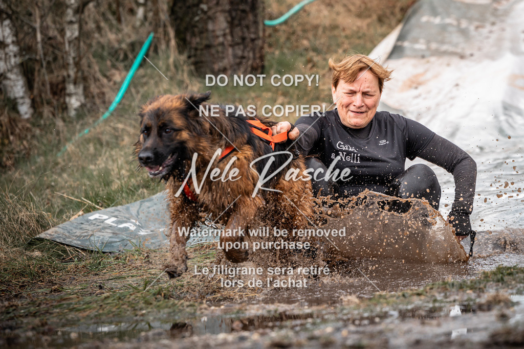 nelerasche_1430-1500_109 | nelerasche
