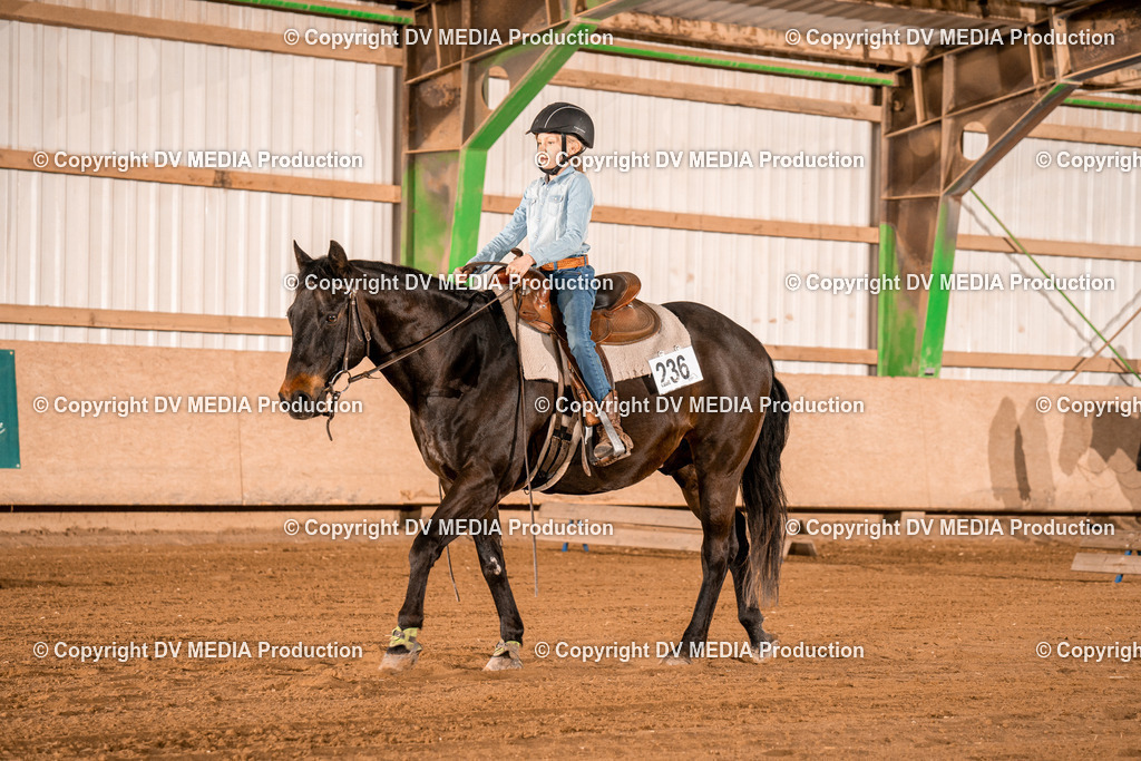 BAL02990 | dv-media-shop - Realisiert mit Pictrs.com