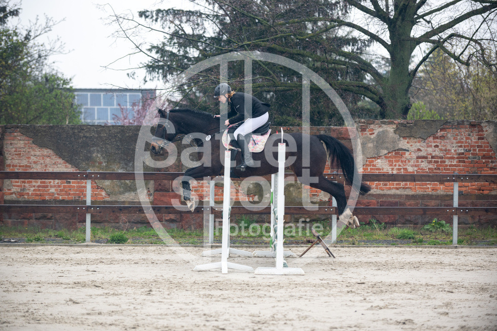 DSC_8918 | sattelsport - Realisiert mit Pictrs.com