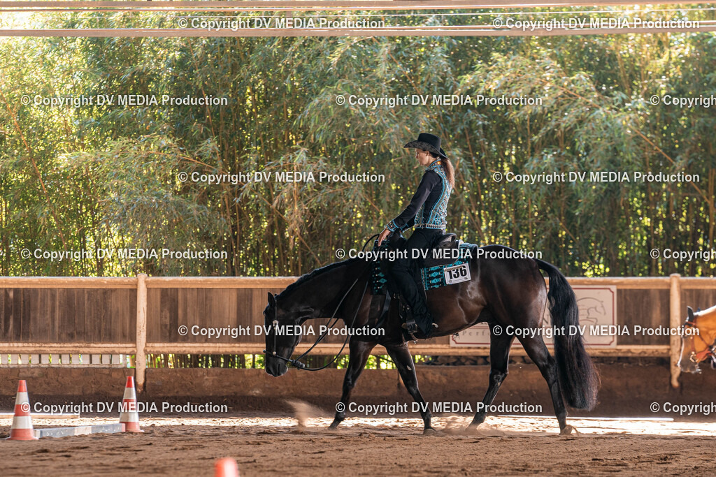 Erbach Tag 3-332 | dv-media-shop - Realisiert mit Pictrs.com