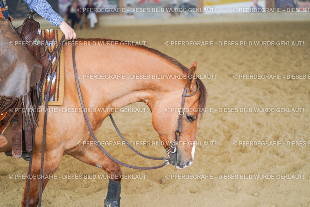 DSC01587 | Pferdegrafie