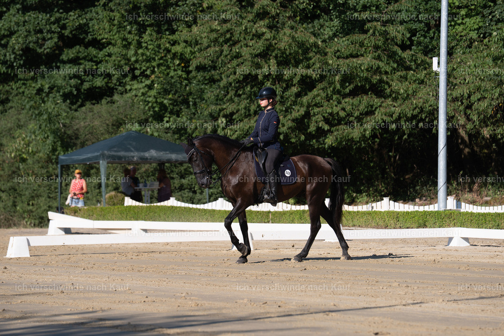 WM_DR_48_sinafilmart_IN04250 | working equitationturnier fotograf videograf stoibphotography marixx film working equitation deutschland reitsport turnierfotografie eventfotografie equestrian events