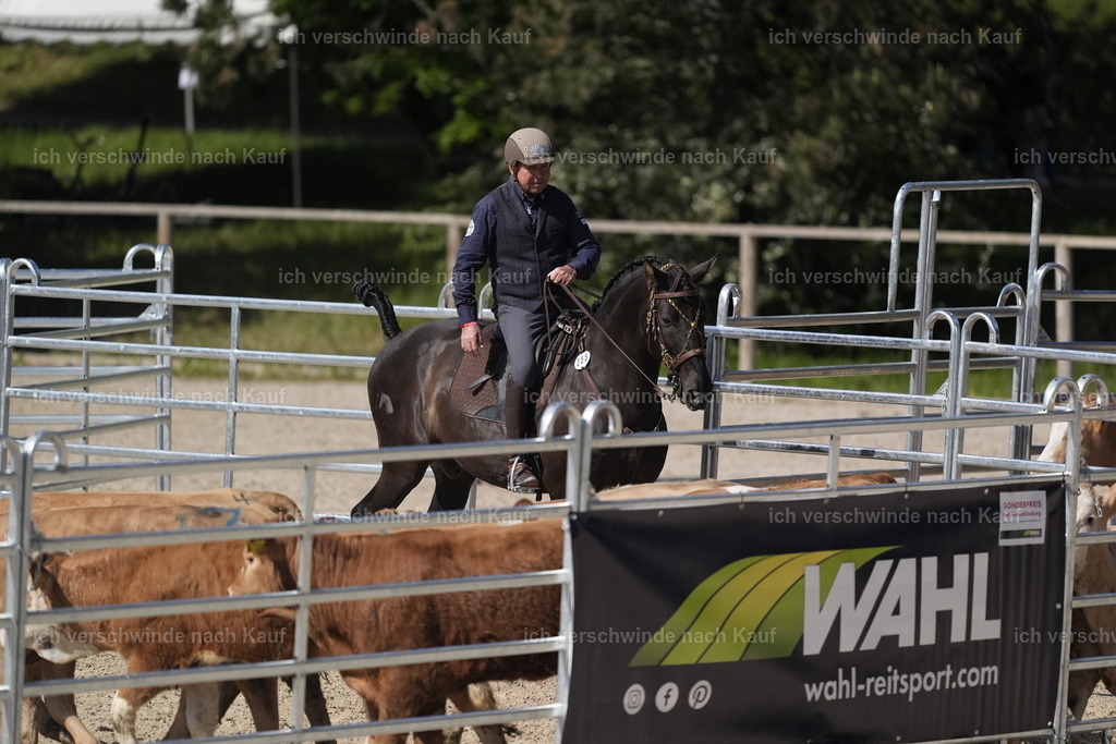 PI26_COW_Stoibphotography_DSC5212.JPG | working equitationturnier fotograf videograf stoibphotography marixx film working equitation deutschland reitsport turnierfotografie eventfotografie equestrian events