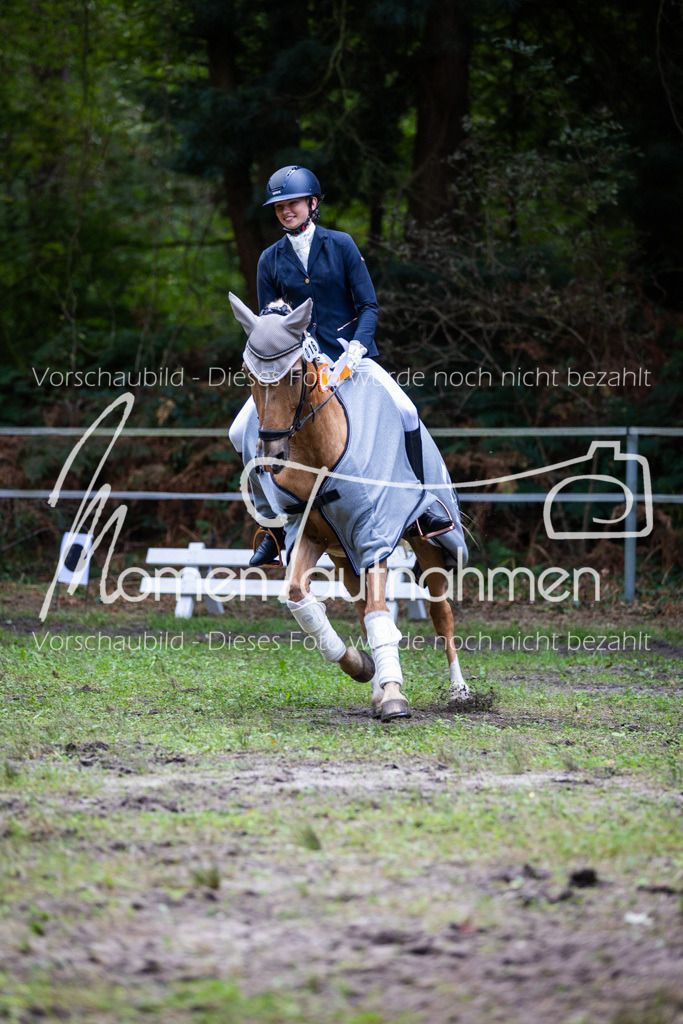 HB-A-Dressur-179 | MomenTaufnahmen Pferdesportfotos