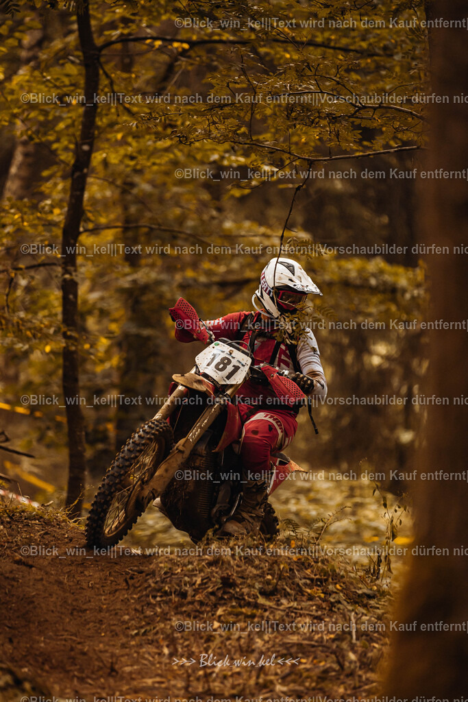 E68A3956 | blick_win_kel