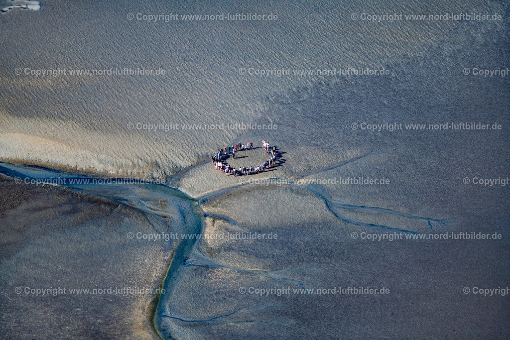 Norderney_Wattenmeer_Wattwanderung_ELS_6117050923 | NORDERNEY 05.09.2023 Wattwanderung eine Gruppe im Wattenmeer vor Norderney im Bundesland Niedersachsen, Deutschland. // A group hiking on the Wadden Sea in front of Norderney in the state of Lower Saxony, Germany. Foto: Martin Elsen