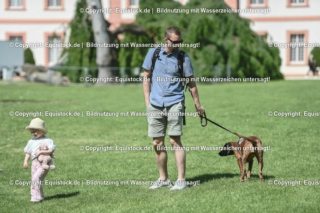 D78_2895 | equistock