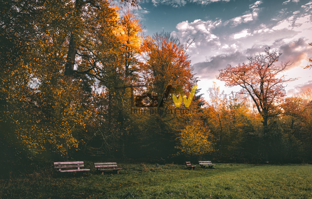 Herbstliche Szene bei Schloss Solitude | Hochauflösende und hochwertige Bilder und Fotos.Kommerzielle oder private Nutzung ✔ Bilder downloaden✔ Acryl ✔ Leinwand ✔ Poster ✔
 - Realisiert mit Pictrs.com