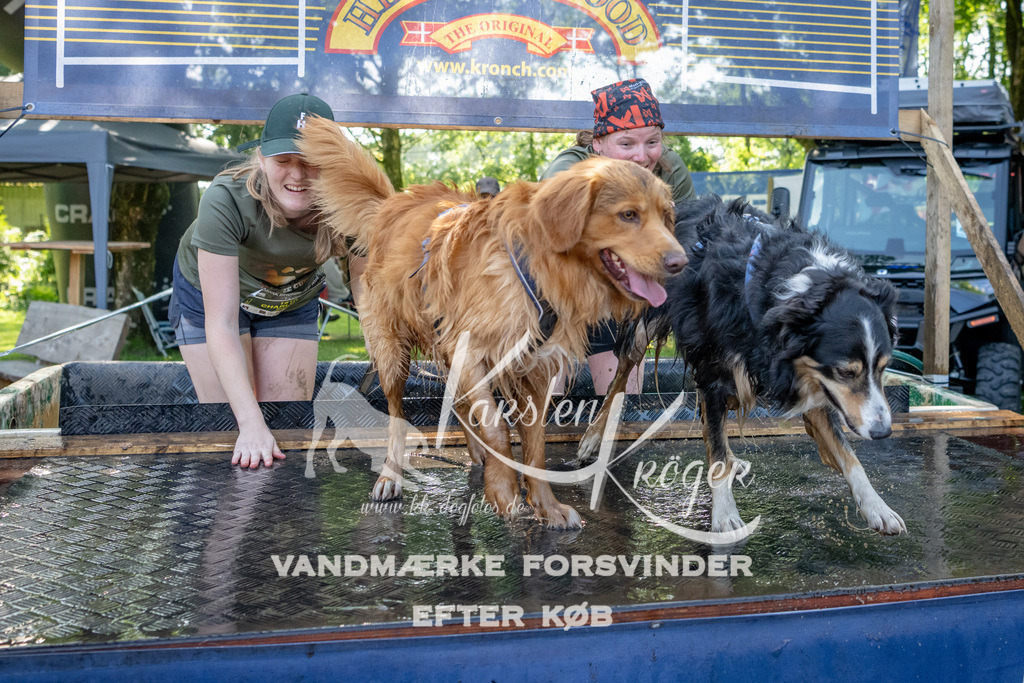 1540_ZZ92584 | kk-dogfotos