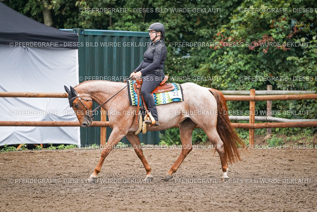 DSC01742 | Pferdegrafie