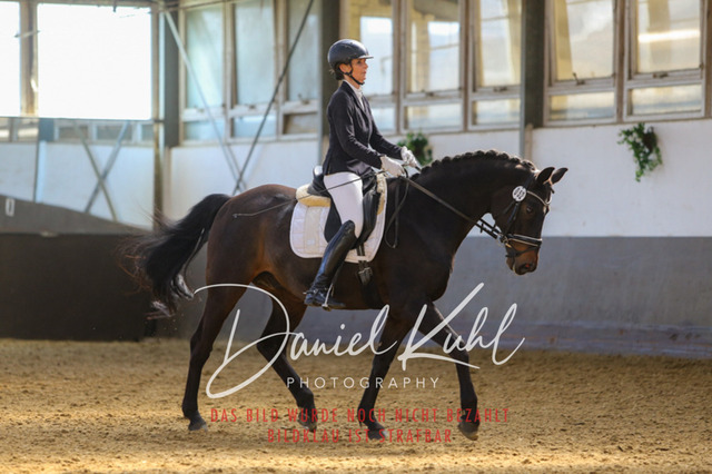 IMG_2943 | Turniersportfotografie; Pferdefotografie; Dressurfotografie