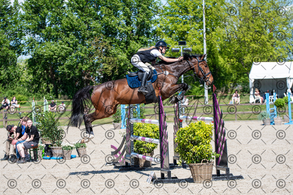 KPT_1137 | andre_photographic