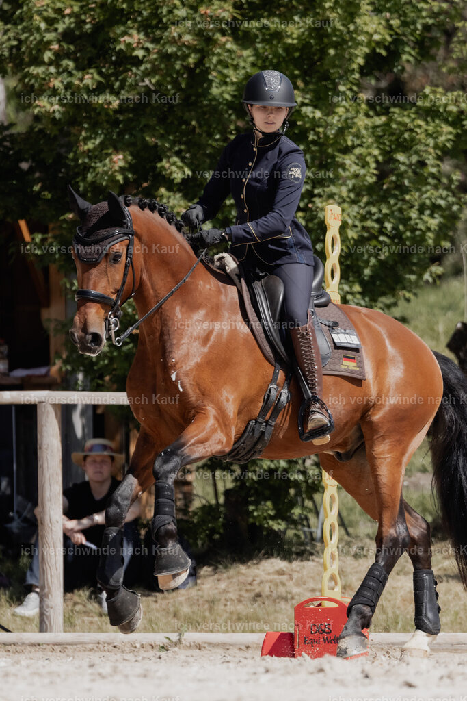 _AM18935 | Pferd International München 2025