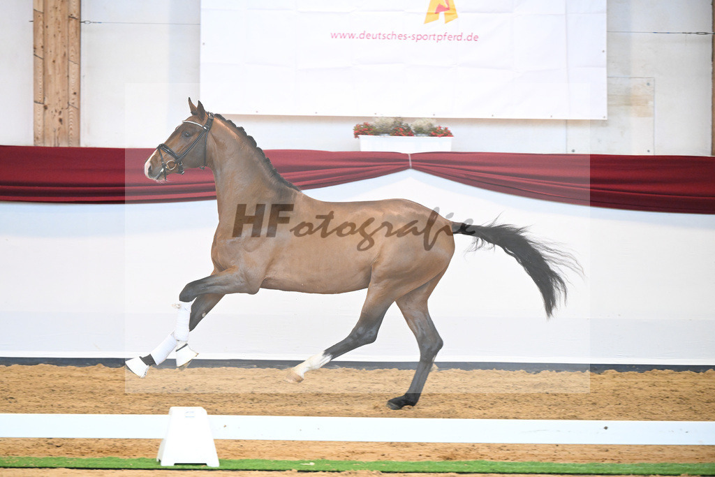 Kat-Nr. 23 v. Don Schufro_Raumanns_66220557 | hf-fotografie - Realisiert mit Pictrs.com