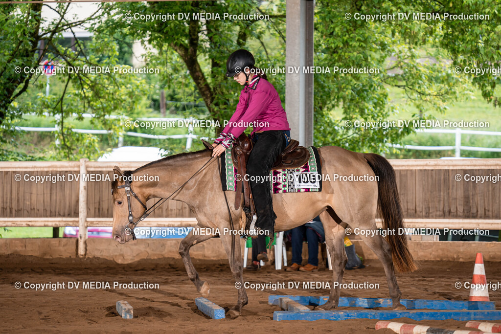 Erbach Tag 1-165 | dv-media-shop - Realisiert mit Pictrs.com