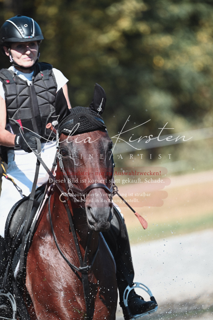 DSC_8526 | Pferde- und Turnierfotografie in Westsachsen. Pferdeportraits, Auftragszeichnungen und intuitive Kunst.