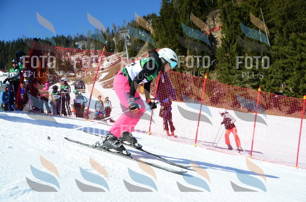 C6135 | holidayphoto