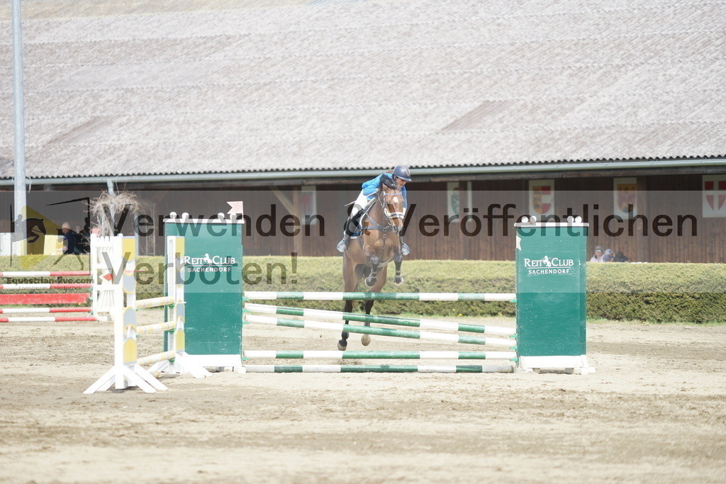 DSC04325 | equestrian-live-com