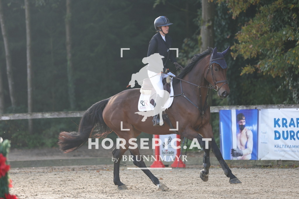 0P6A1075 | Willkommen bei Brunnmayr - Design & Fotografie – Ihrem Spezialisten für Reitturniere und Pferdeveranstaltungen in Oberösterreich, Salzburg und Bayern! Seit über 17 Jahren sind wir leidenschaftlich dabei.