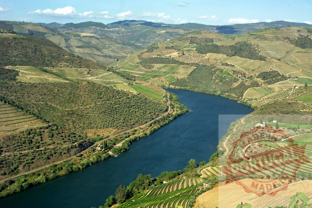 Douro River winding through terraced Douro Valley vineyards | Douro River flowing through a vast landscape of terraced vineyards and hills in Portugal - Realisiert mit Pictrs.com