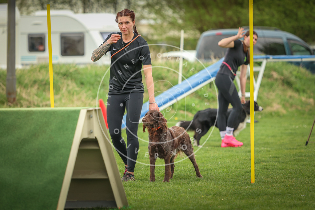 Pfotenfotografie_0L8A0726 | Hundefotografie, Tierfotograf, Pfotenfotografie, Fotoshooting Hund, Hunde Portrait, Hundesport, Hundeportraits, Heideshooting, Hunde, Sportfotograf, Hundefotograf, Turnierhundsport, THS,  - Realisiert mit Pictrs.com