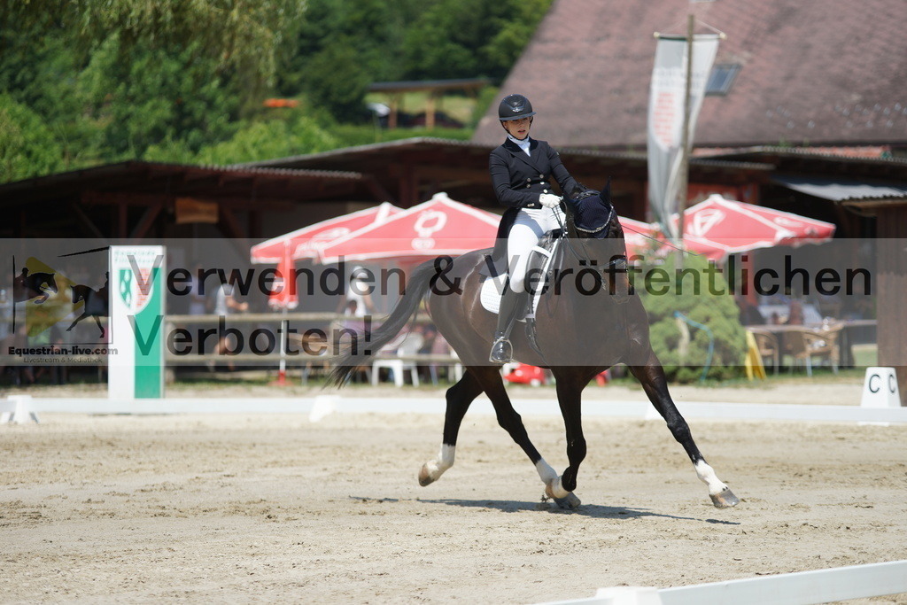 DSC05135 | equestrian-live-com