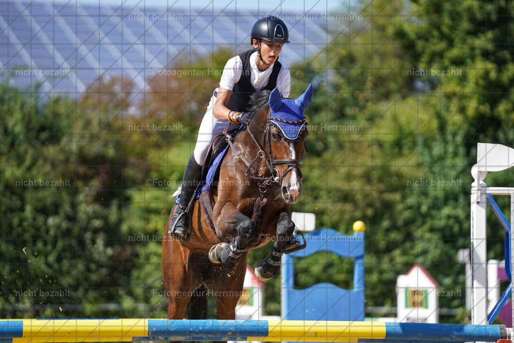 20240824-FAH08385 | Thierhaupten 2024, Bayerisches Landesponyturnier, Turnierbilder, Ponybilder, Turnierfotografen Bayern, Fotoagentur Herrmann