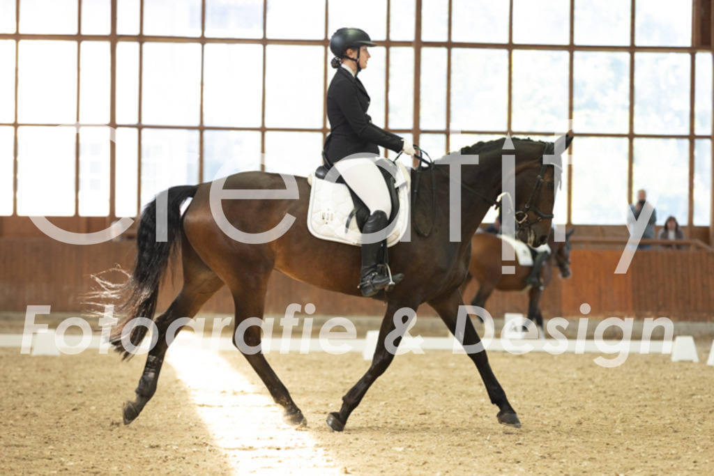 IMG_4818 | Creatify Fotografie