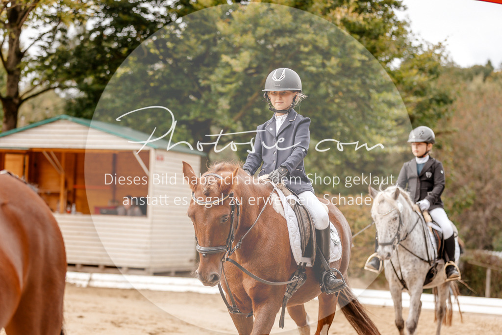 3I6A8323 | Stimmungsvolle Portraits und Reitsportfotografie im Ruhrgebiet und im Münsterland.

Pferdefotografie, Hundefotografie, Tierfotografie, Reportagen, Portraits von Tier und Mensch, Turnierfotografie in Bochum, Recklinghausen, Marl, Haltern am See, Dülmen.. - Realisiert mit Pictrs.com