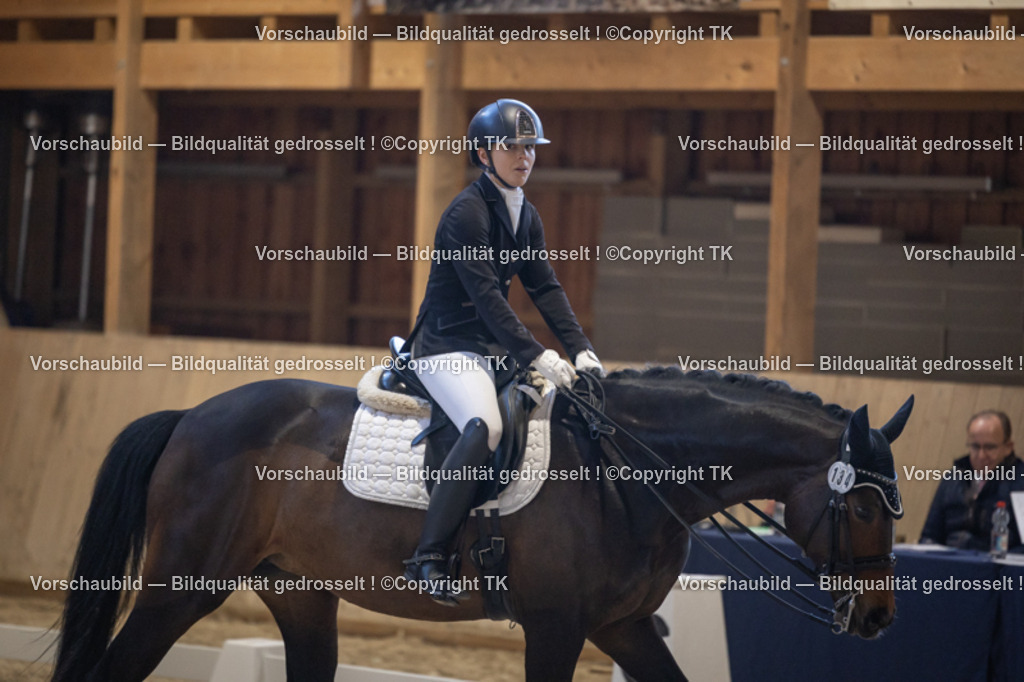 _D5A1908 | Emotionale Pferde- & People-Fotografie rund um Heidelberg, Leimen & Umgebung. Natürliche Fotos von Pferd, Mensch & Familie. Jetzt Termin sichern!
