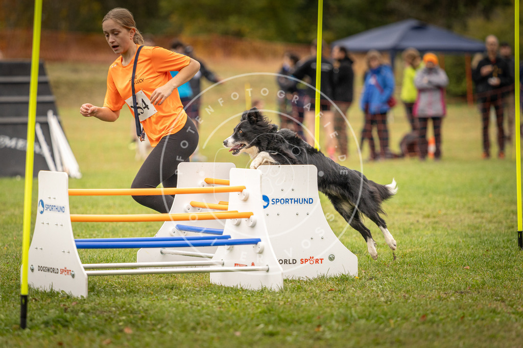 Pfotenfotografie_DV3A6225 | Hundefotografie, Tierfotograf, Pfotenfotografie, Fotoshooting Hund, Hunde Portrait, Hundesport, Hundeportraits, Heideshooting, Hunde, Sportfotograf, Hundefotograf, Turnierhundsport, THS,  - Realisiert mit Pictrs.com