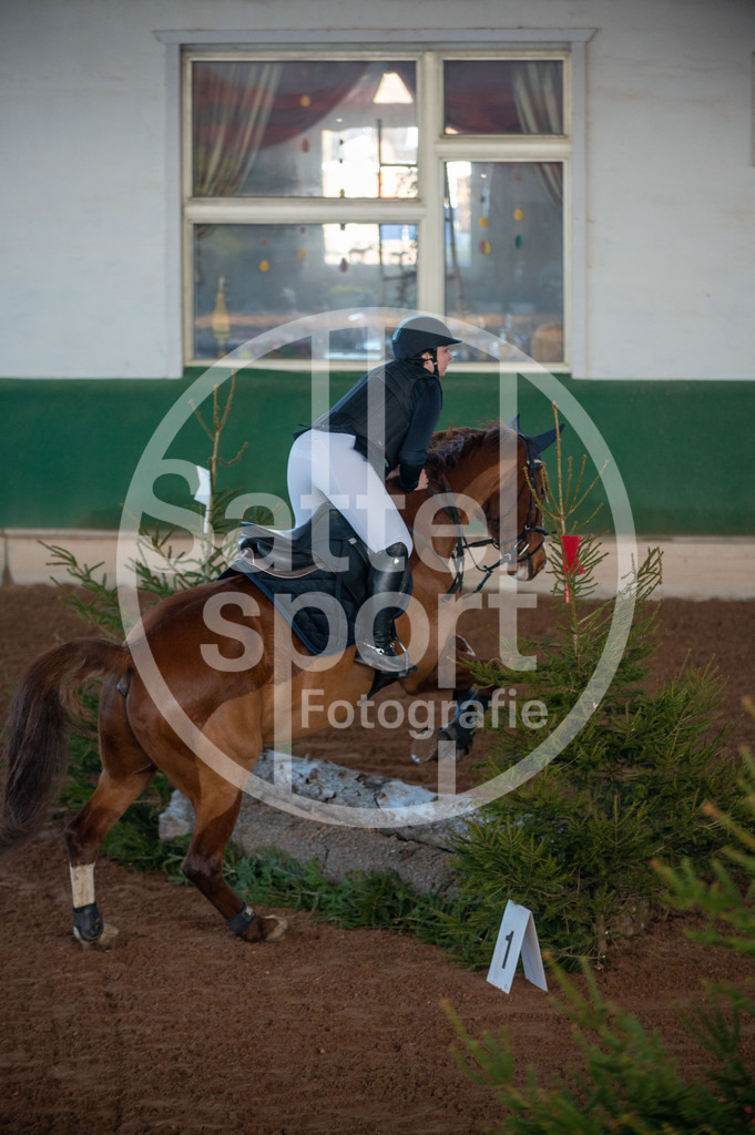 DSC_9917 | sattelsport - Realisiert mit Pictrs.com