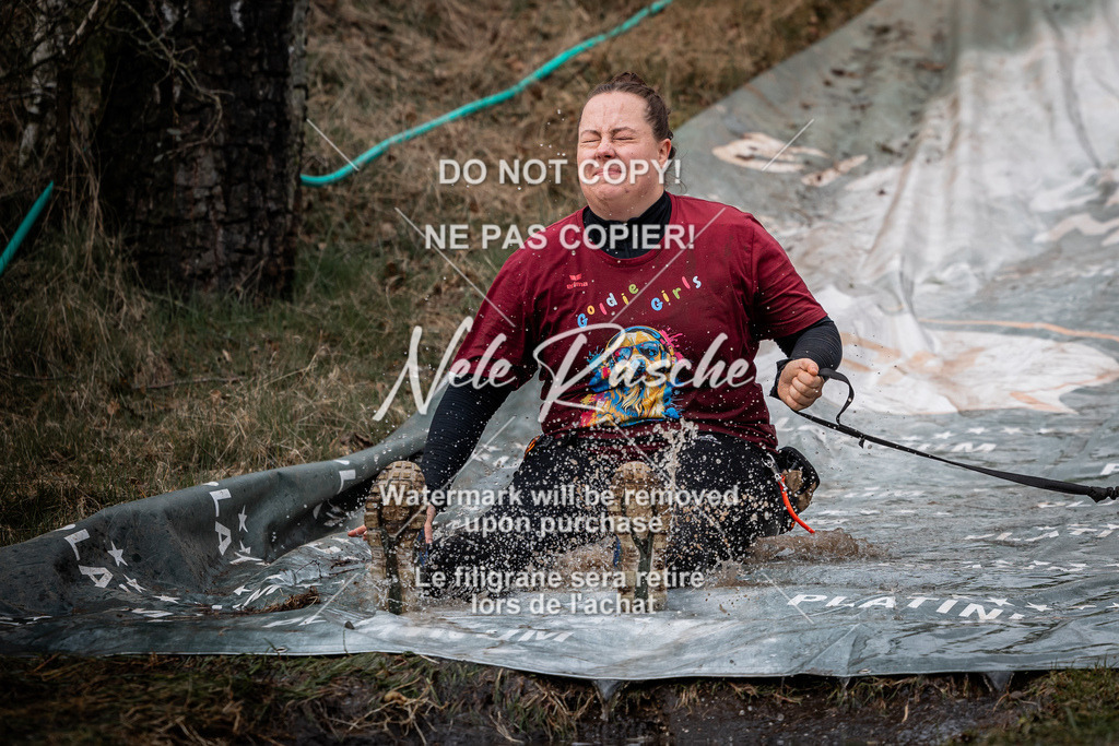 nelerasche_1330-1400_209 | nelerasche