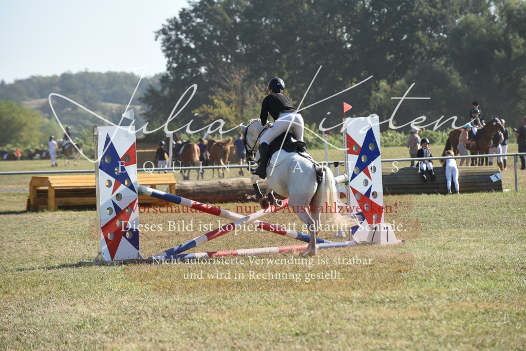 DSC_5877 | Pferde- und Turnierfotografie in Westsachsen. Pferdeportraits, Auftragszeichnungen und intuitive Kunst.