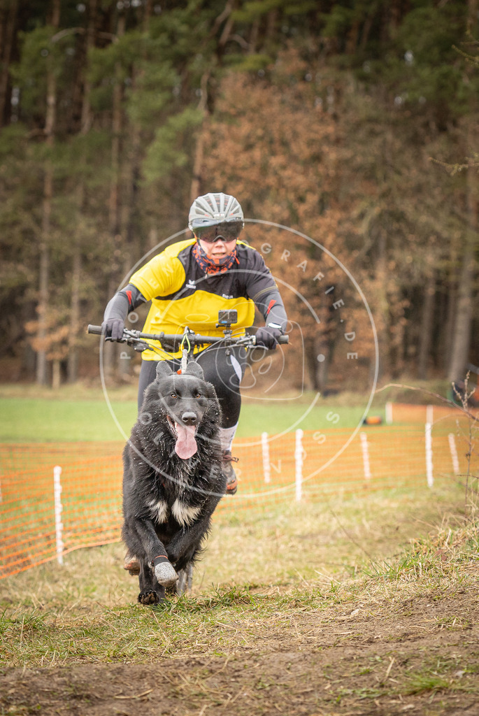 DV3A0909 | Hundefotografie, Tierfotograf, Pfotenfotografie, Fotoshooting Hund, Hunde Portrait, Hundesport, Hundeportraits, Heideshooting, Hunde, Sportfotograf, Hundefotograf, Turnierhundsport, THS,  - Realisiert mit Pictrs.com