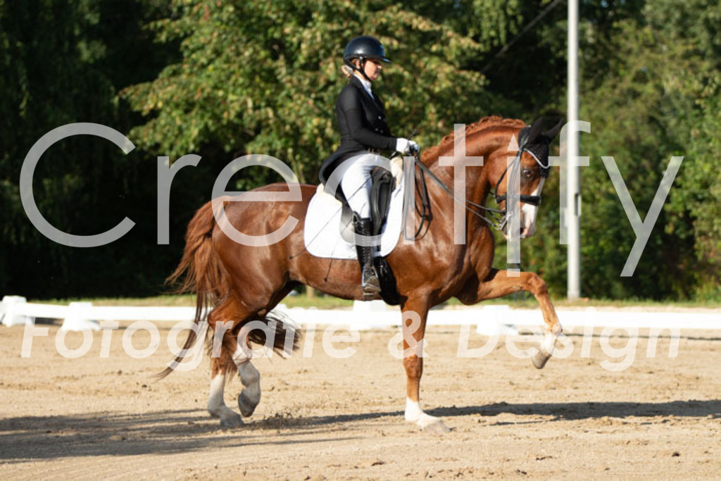 IMG_5799 | Creatify Fotografie