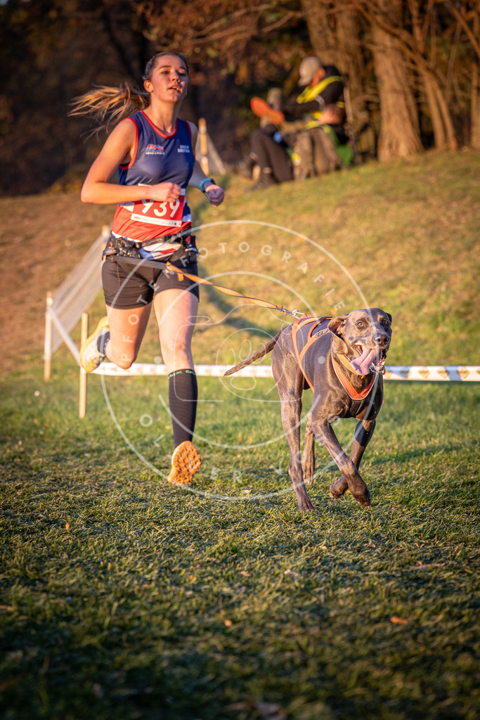 CaniXpix_0L8A1877 | Hundefotografie, Tierfotograf, Pfotenfotografie, Fotoshooting Hund, Hunde Portrait, Hundesport, Hundeportraits, Heideshooting, Hunde, Sportfotograf, Hundefotograf, Turnierhundsport, THS,  - Realisiert mit Pictrs.com