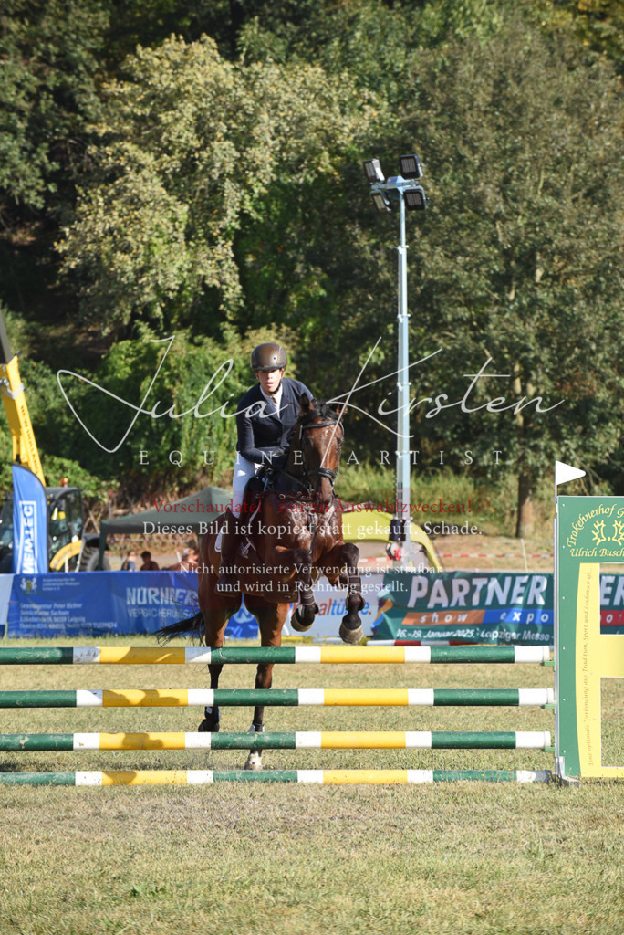 DSC_5281 | Pferde- und Turnierfotografie in Westsachsen. Pferdeportraits, Auftragszeichnungen und intuitive Kunst.